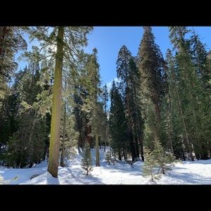 Meet your Posher, Marissa